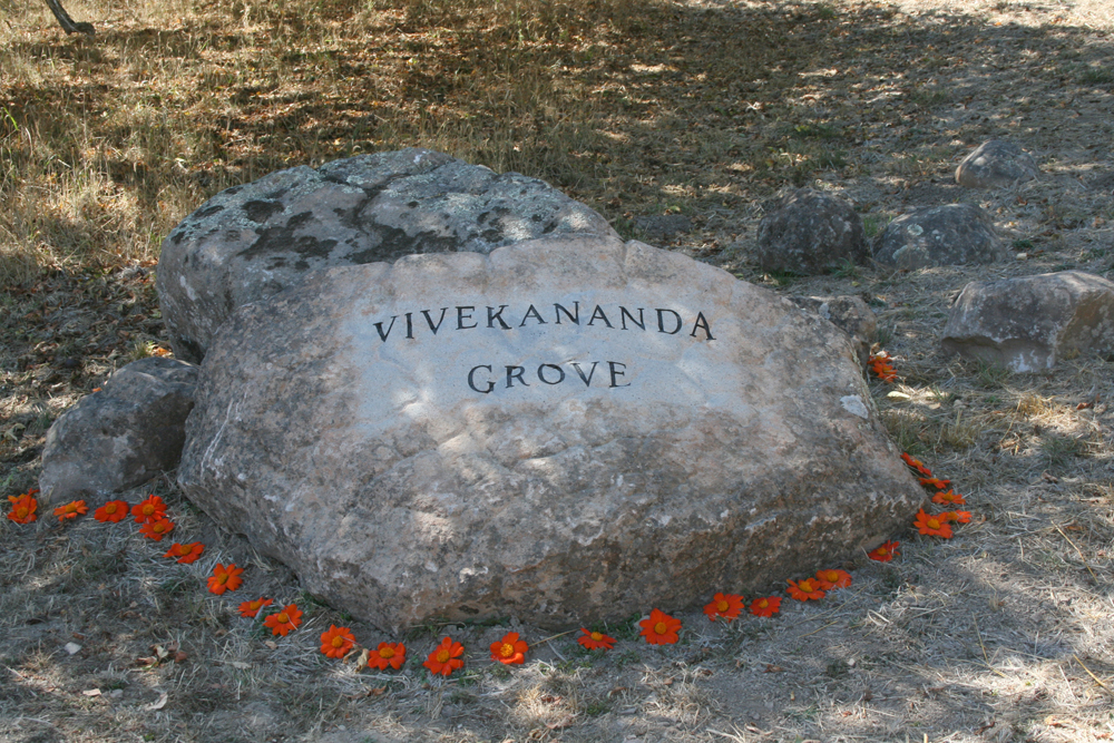 16-Vivekananda-Grove-boulder