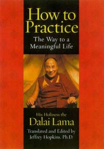 How to Practice: The Way to a Meaningful Life
