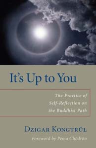 It’s Up to You: The Practice of Self-Reflection on the Buddhist Path