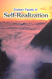 Sixteen Facets of Self-Realization
