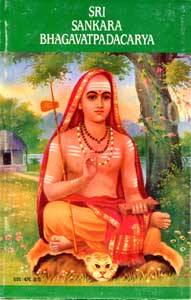 Sri Sankara Bhagavatpadacarya